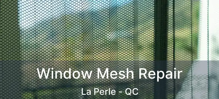  Window Mesh Repair La Perle - QC