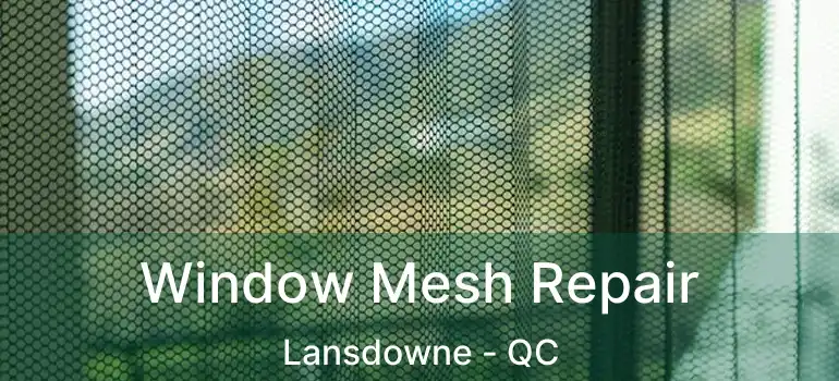  Window Mesh Repair Lansdowne - QC