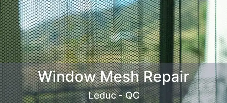  Window Mesh Repair Leduc - QC