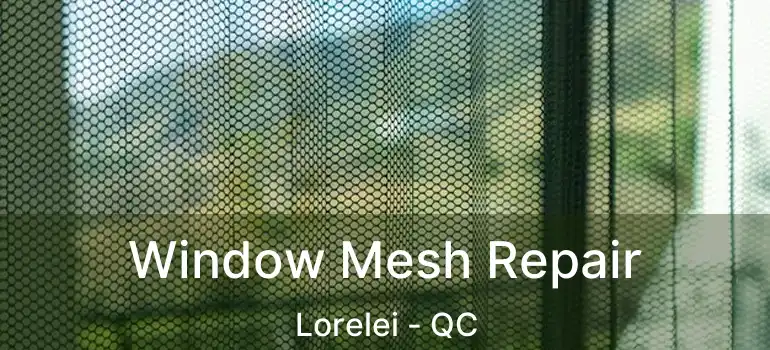  Window Mesh Repair Lorelei - QC