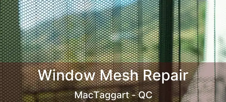  Window Mesh Repair MacTaggart - QC
