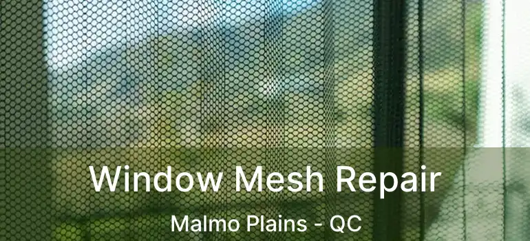 Window Mesh Repair Malmo Plains - QC