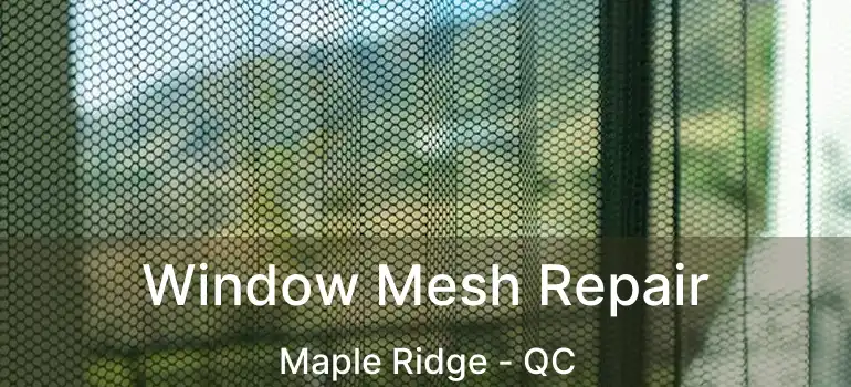 Window Mesh Repair Maple Ridge - QC