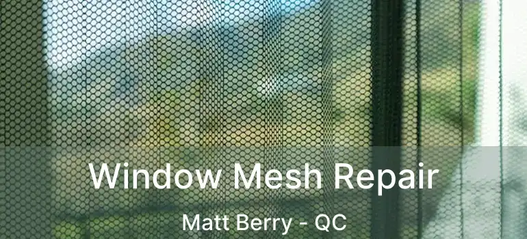  Window Mesh Repair Matt Berry - QC