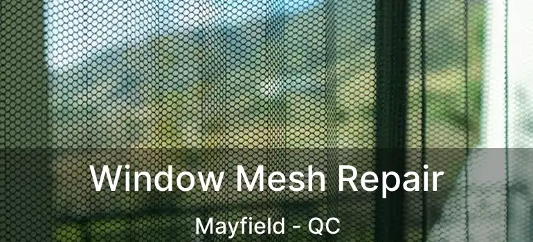  Window Mesh Repair Mayfield - QC