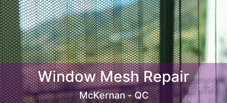  Window Mesh Repair McKernan - QC