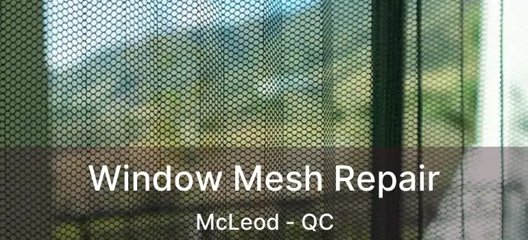  Window Mesh Repair McLeod - QC