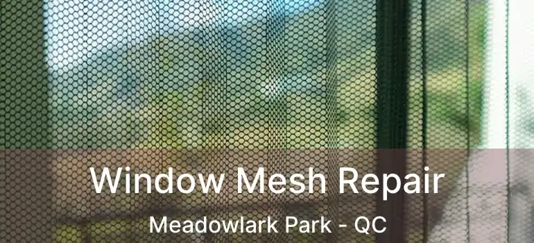  Window Mesh Repair Meadowlark Park - QC