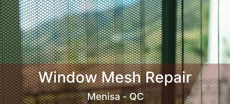  Window Mesh Repair Menisa - QC
