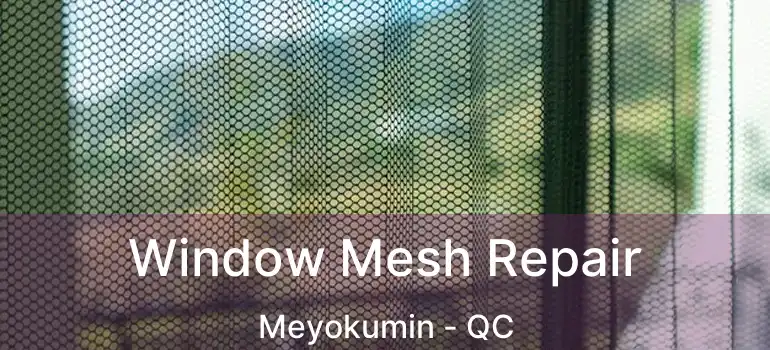  Window Mesh Repair Meyokumin - QC