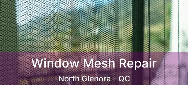  Window Mesh Repair North Glenora - QC