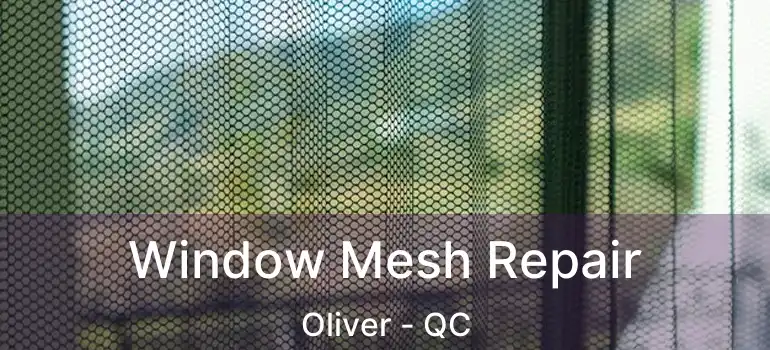  Window Mesh Repair Oliver - QC