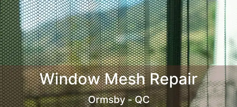  Window Mesh Repair Ormsby - QC