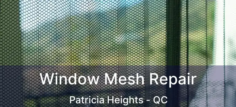 Window Mesh Repair Patricia Heights - QC