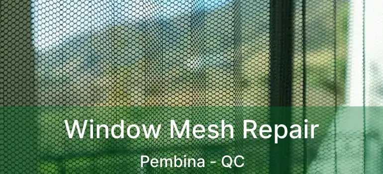  Window Mesh Repair Pembina - QC