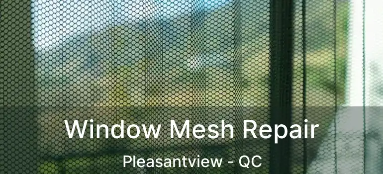  Window Mesh Repair Pleasantview - QC