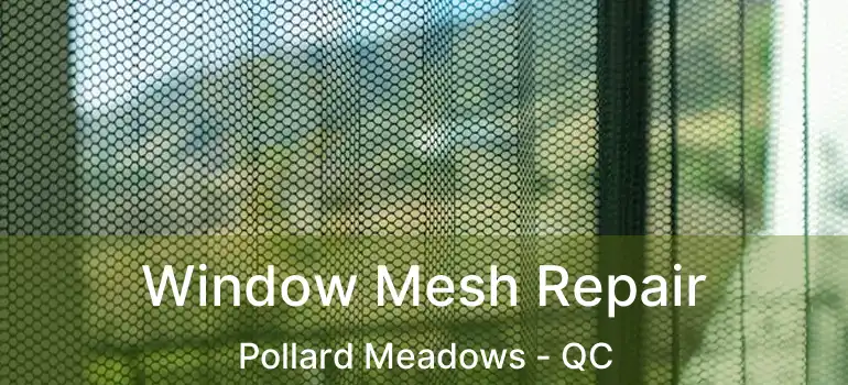  Window Mesh Repair Pollard Meadows - QC