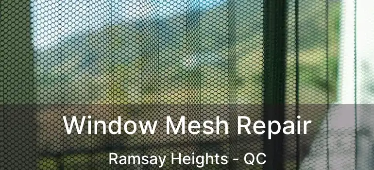  Window Mesh Repair Ramsay Heights - QC