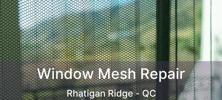  Window Mesh Repair Rhatigan Ridge - QC