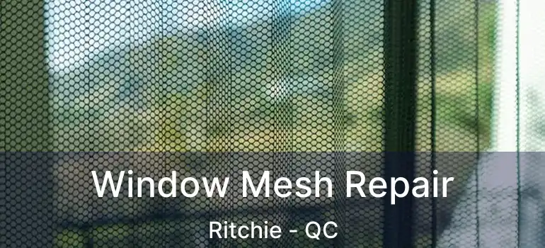  Window Mesh Repair Ritchie - QC