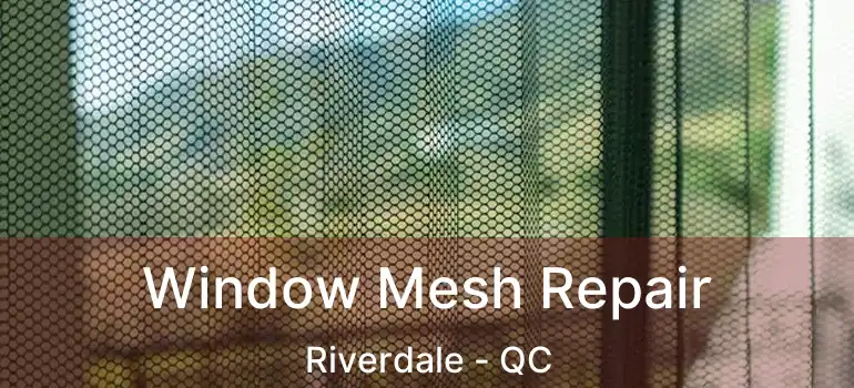 Window Mesh Repair Riverdale - QC