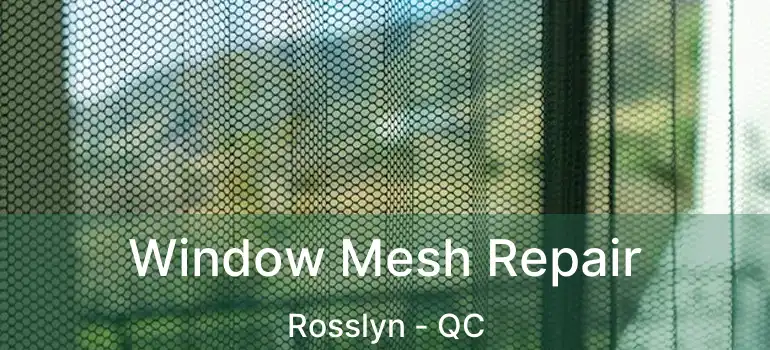  Window Mesh Repair Rosslyn - QC