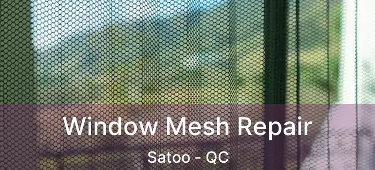  Window Mesh Repair Satoo - QC