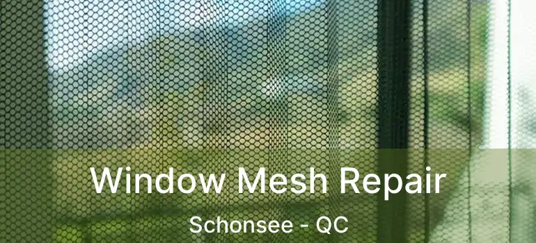  Window Mesh Repair Schonsee - QC