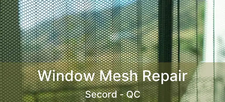  Window Mesh Repair Secord - QC
