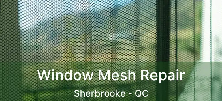  Window Mesh Repair Sherbrooke - QC