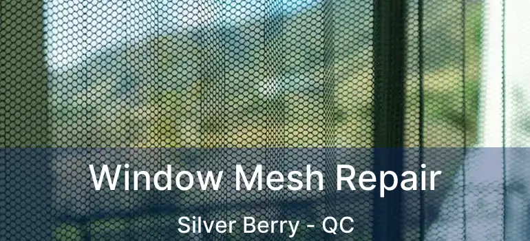  Window Mesh Repair Silver Berry - QC