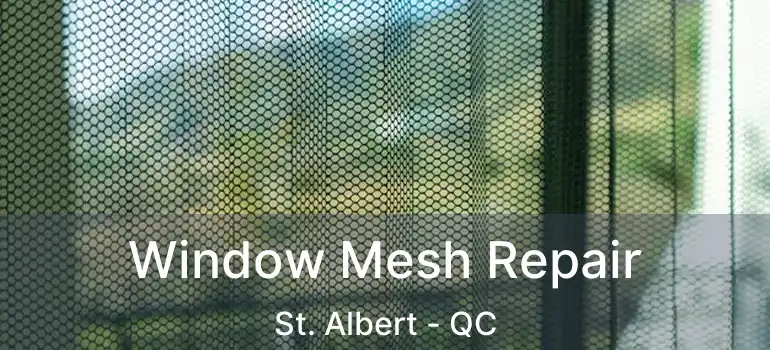  Window Mesh Repair St. Albert - QC