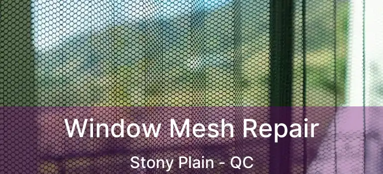  Window Mesh Repair Stony Plain - QC