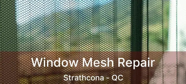 Window Mesh Repair Strathcona - QC