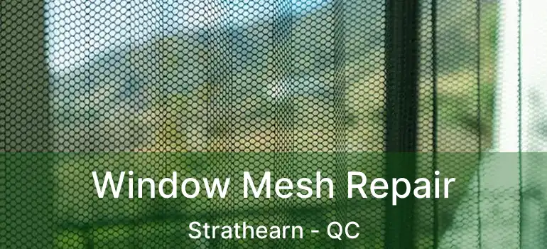  Window Mesh Repair Strathearn - QC