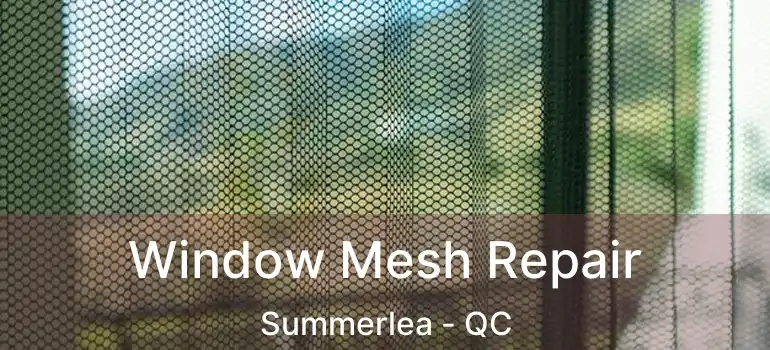  Window Mesh Repair Summerlea - QC