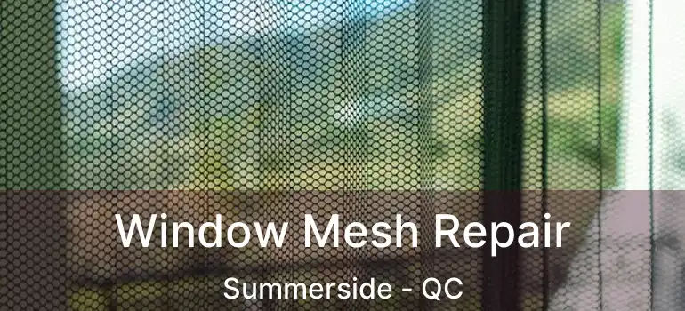  Window Mesh Repair Summerside - QC