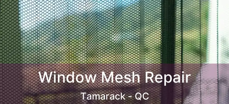  Window Mesh Repair Tamarack - QC