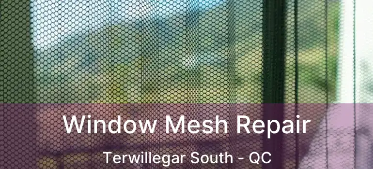  Window Mesh Repair Terwillegar South - QC