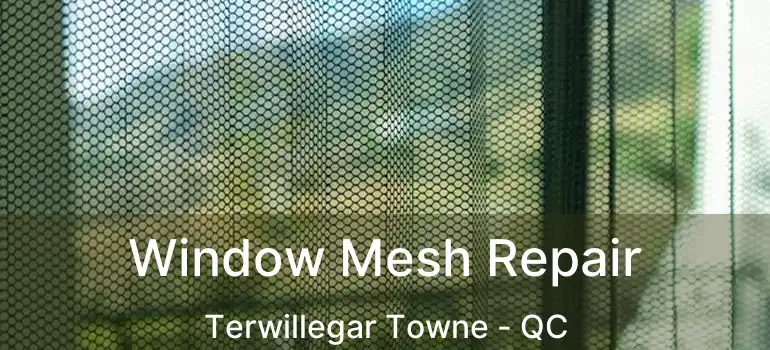  Window Mesh Repair Terwillegar Towne - QC