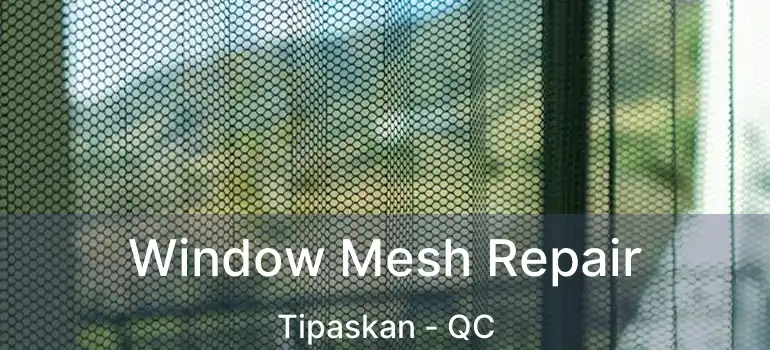  Window Mesh Repair Tipaskan - QC