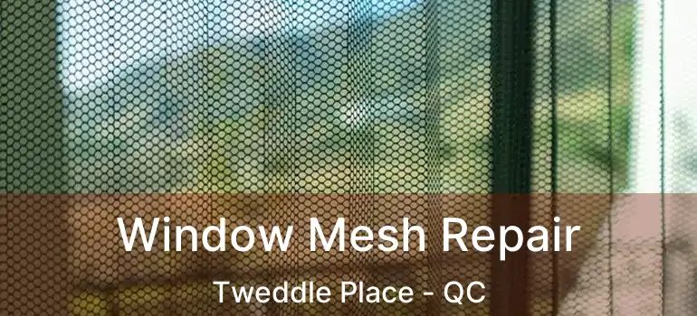 Window Mesh Repair Tweddle Place - QC