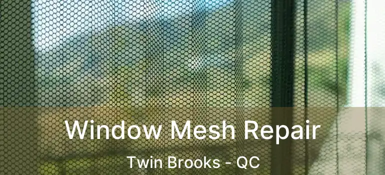  Window Mesh Repair Twin Brooks - QC