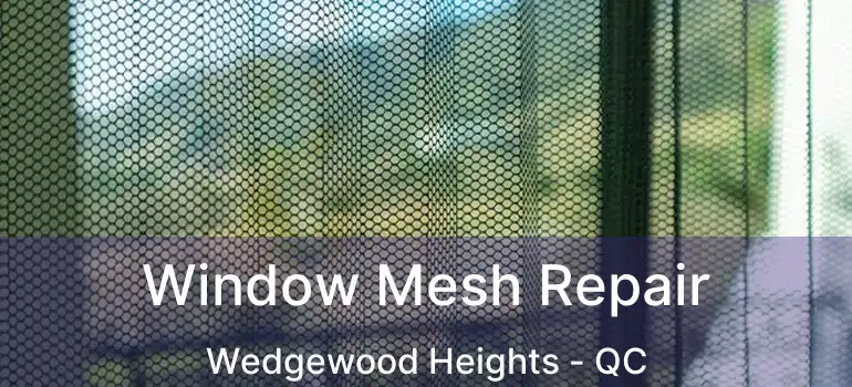  Window Mesh Repair Wedgewood Heights - QC