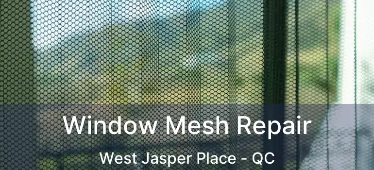  Window Mesh Repair West Jasper Place - QC