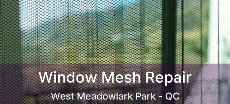  Window Mesh Repair West Meadowlark Park - QC