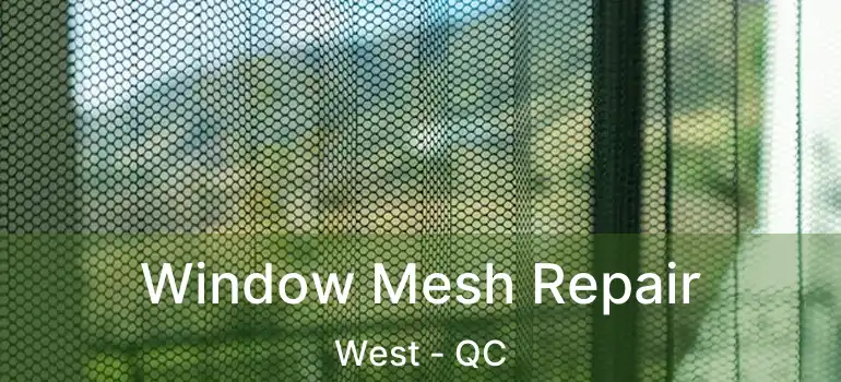  Window Mesh Repair West - QC