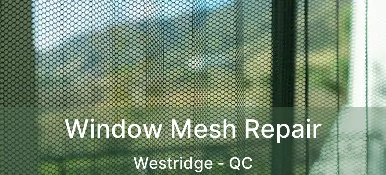  Window Mesh Repair Westridge - QC