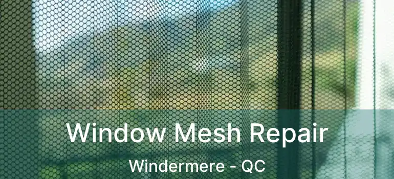  Window Mesh Repair Windermere - QC