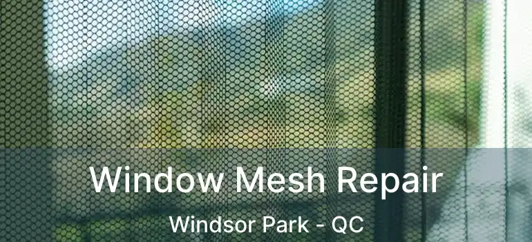  Window Mesh Repair Windsor Park - QC